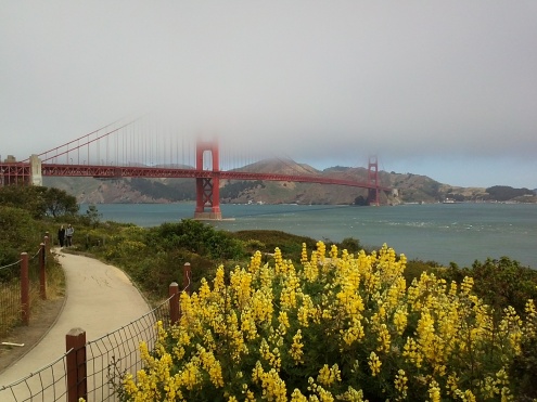 Die Golden Gate Bridge im hereiziehenden Küstennebel